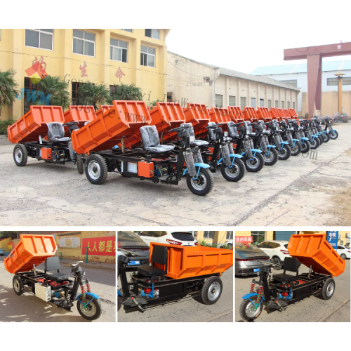 China High Speed Electric Trike Motorized For Garden use Supplier